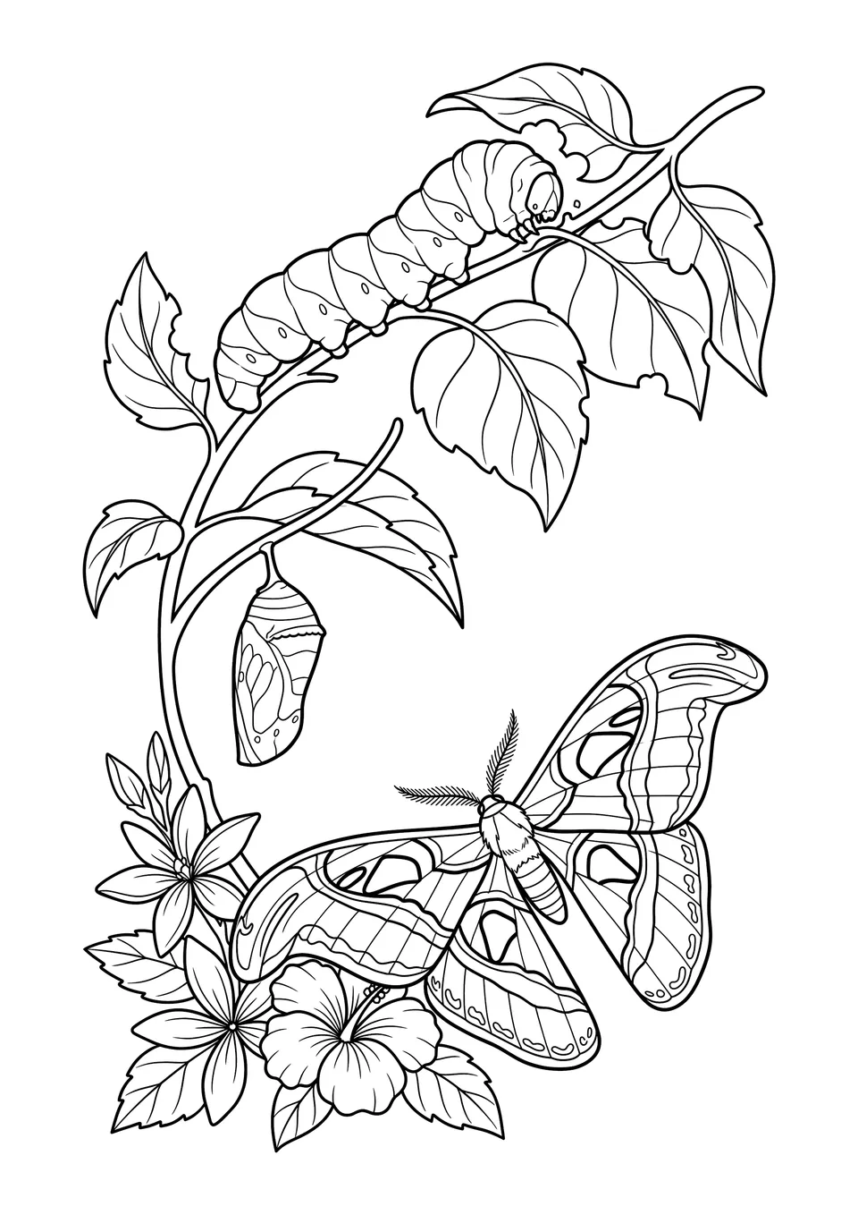 Desenho para colorir em arte linear em preto e branco ilustrando o ciclo de vida de uma lagarta, casulo e mariposa cercados por folhas e flores tropicais.